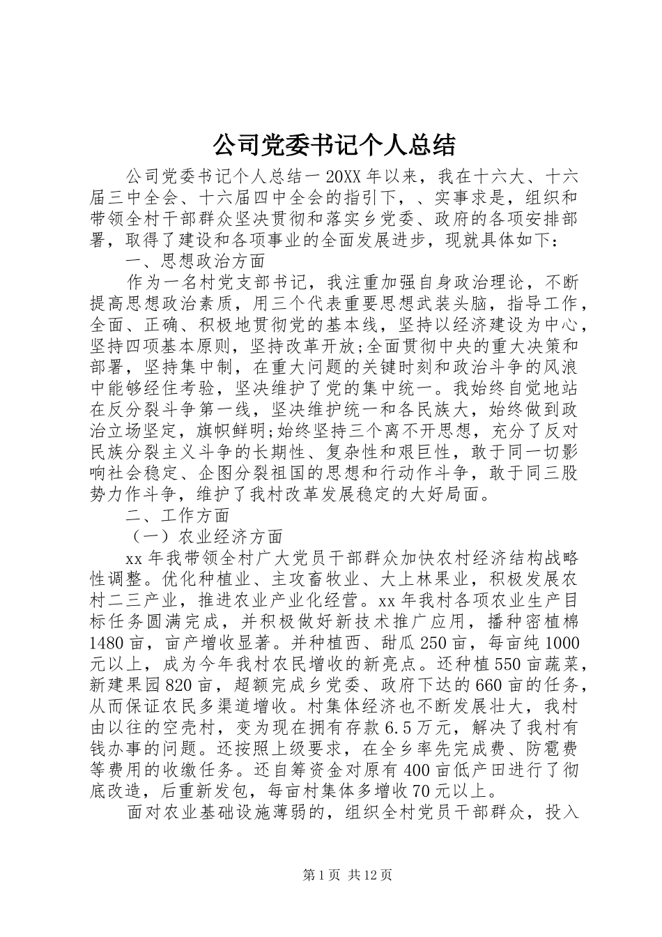 公司党委书记个人总结_第1页