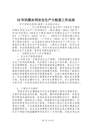 XX年汛期水利安全生产大检查工作总结