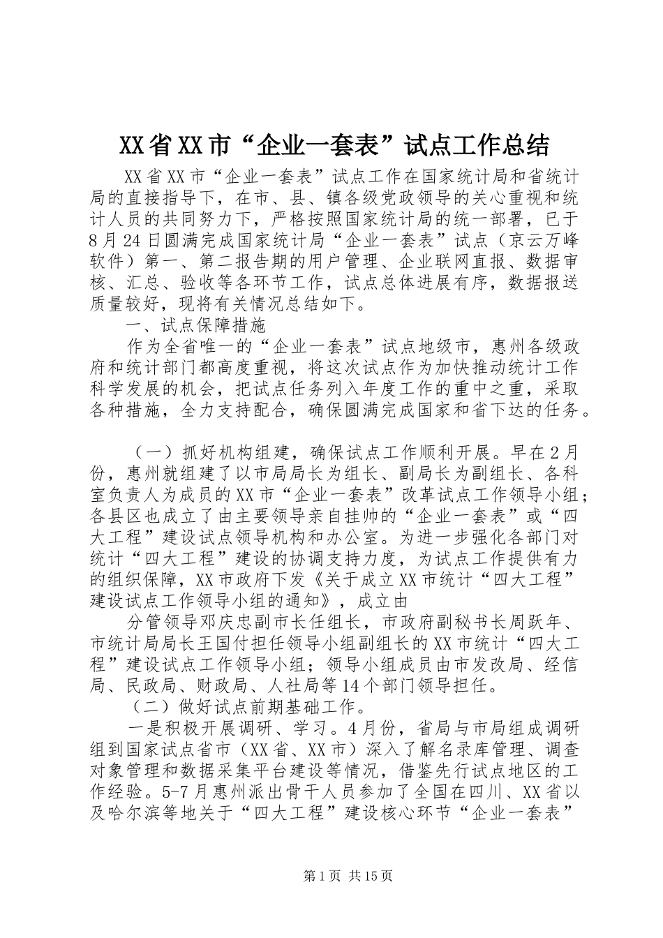 XX省XX市“企业一套表”试点工作总结_第1页