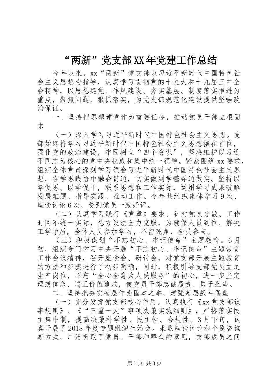 “两新”党支部XX年党建工作总结_第1页
