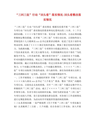 “三纠三促”行动“回头看”落实情况-回头看整改落实情况 