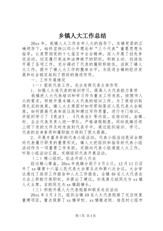 乡镇人大工作总结 (16)