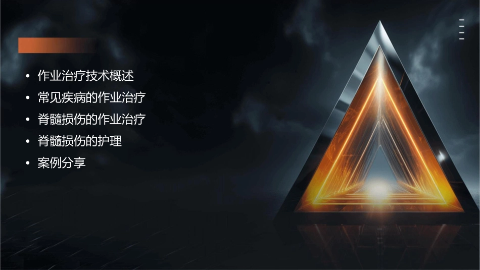 作业治疗技术 常见疾病的作业治疗脊髓损伤的作业治疗护理课件1_第2页