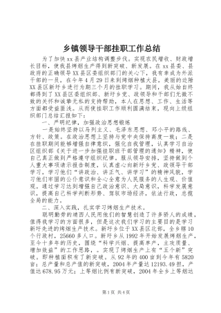 乡镇领导干部挂职工作总结