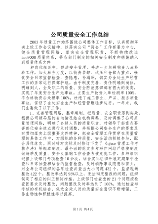 公司质量安全工作总结 (16)