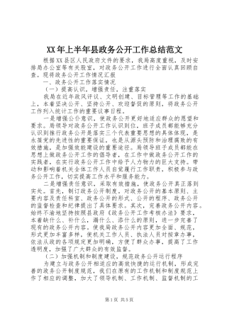 XX年上半年县政务公开工作总结范文