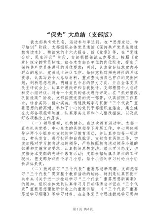 “保先”大总结（支部版）