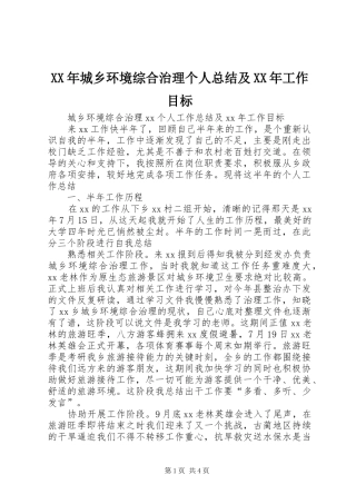 XX年城乡环境综合治理个人总结及XX年工作目标