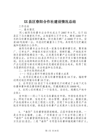 XX县区春阳合作社建设情况总结