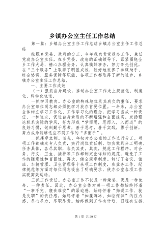 乡镇办公室主任工作总结