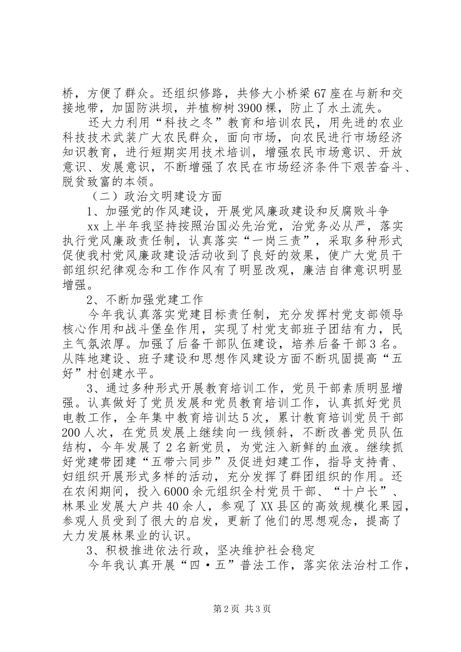 XX年村党支部书记个人自我工作总结_第2页