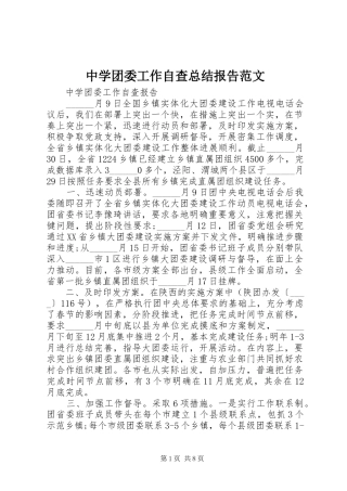 中学团委工作自查总结报告范文