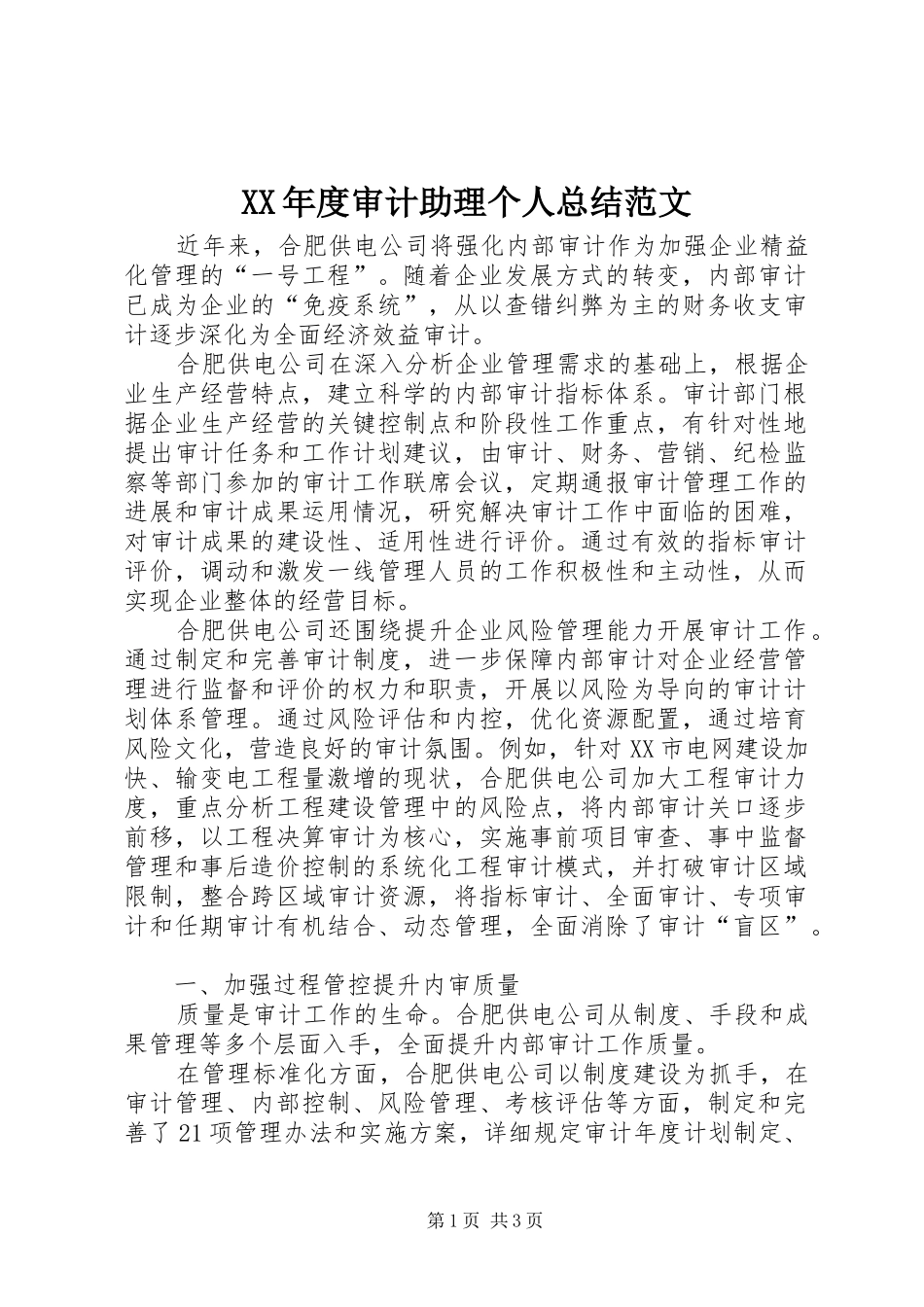 XX年度审计助理个人总结范文_第1页