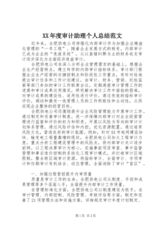 XX年度审计助理个人总结范文