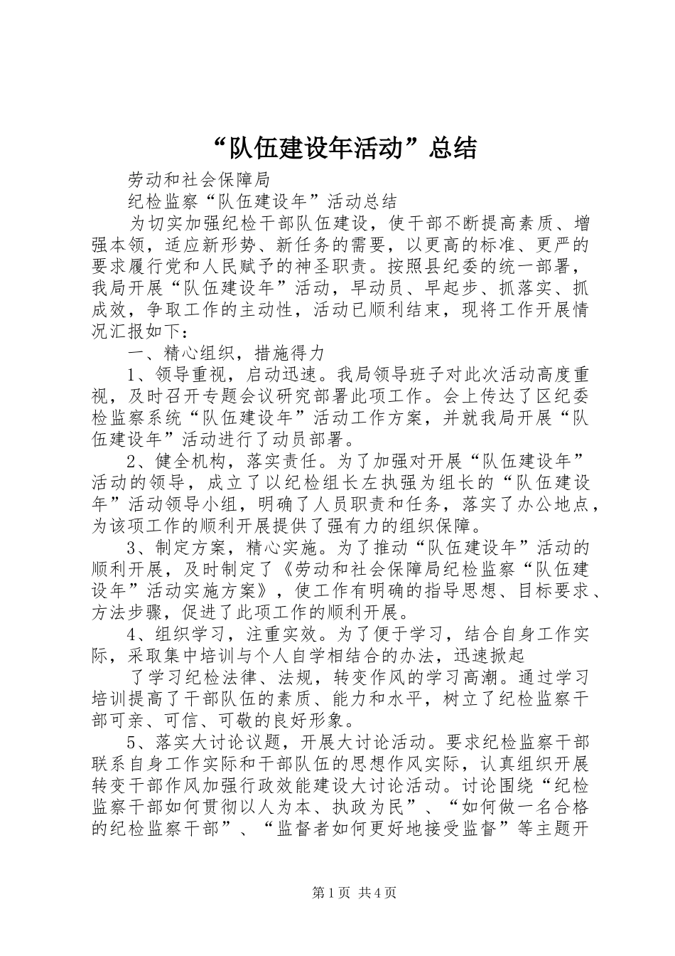 “队伍建设年活动”总结_第1页