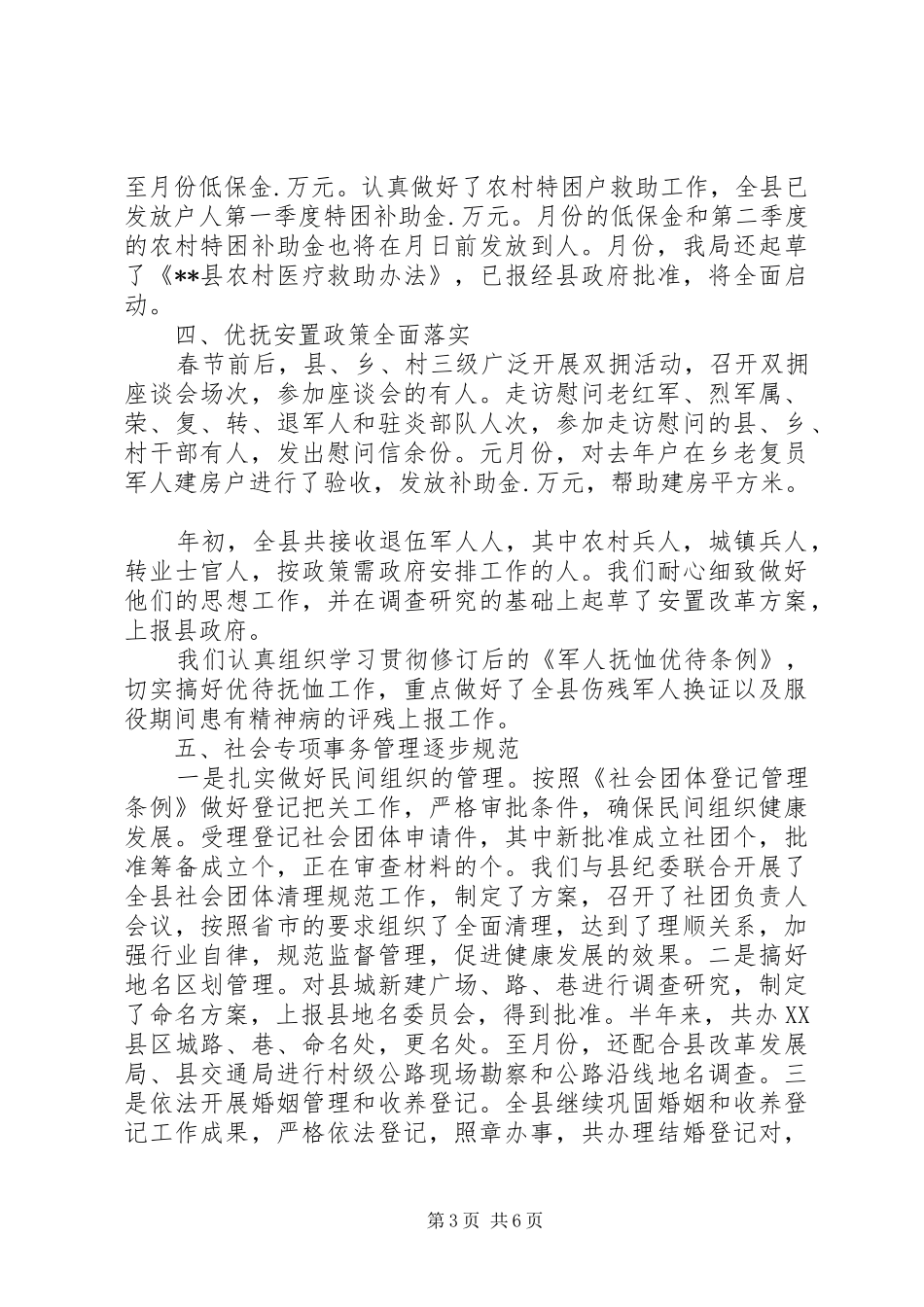 上半年民政局工作总结_第3页