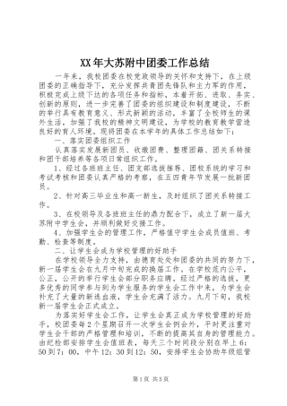 XX年大苏附中团委工作总结