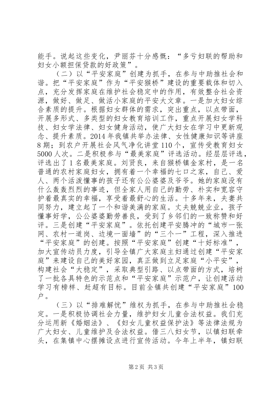 XX年乡镇妇联工作总结 (12)_第2页