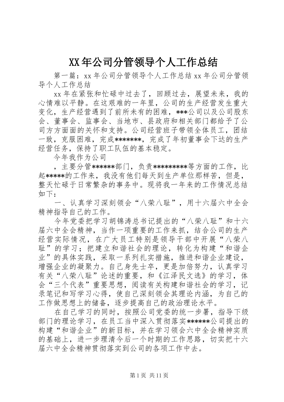 XX年公司分管领导个人工作总结_第1页