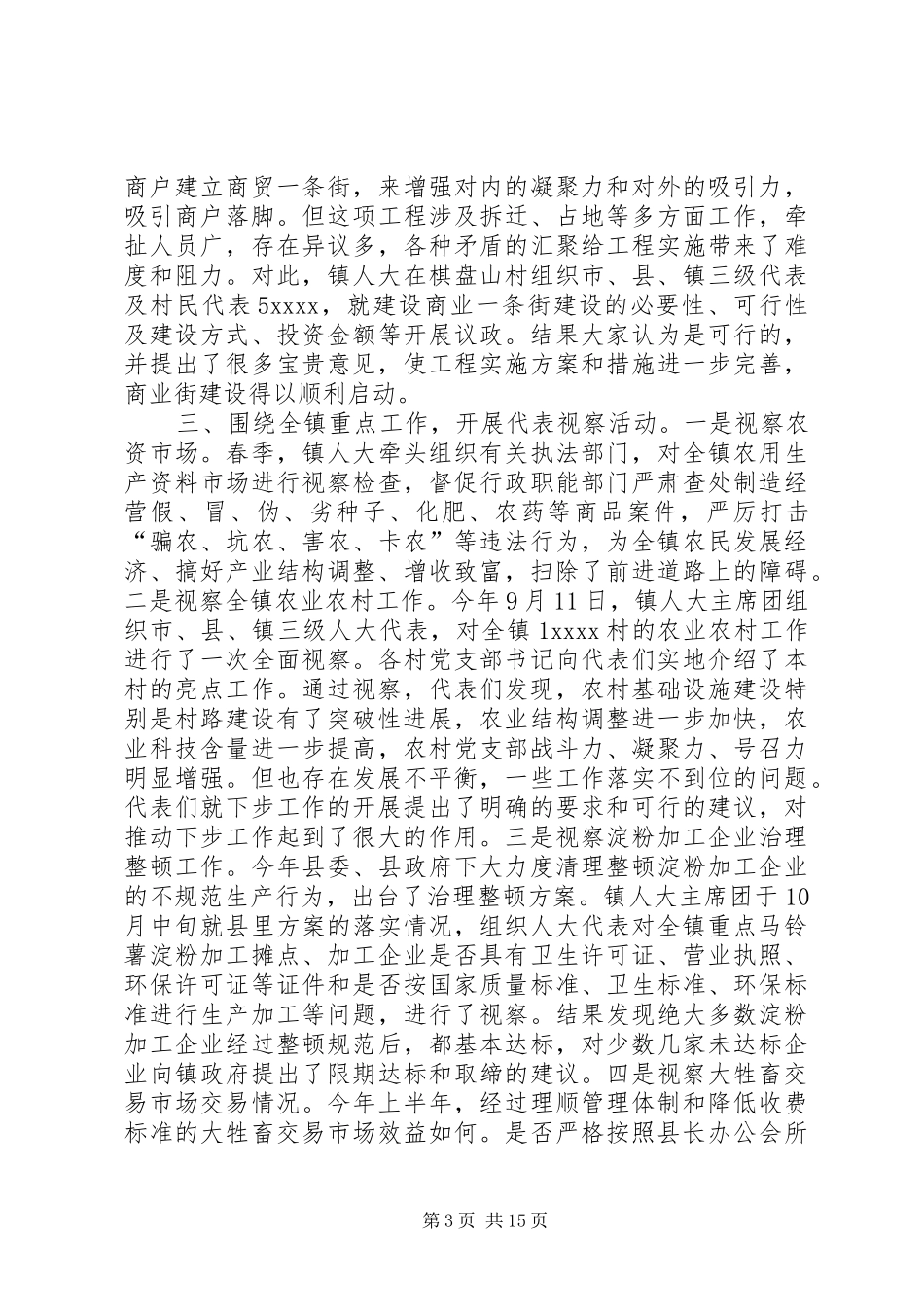 乡镇人大工作总结模板4篇_第3页