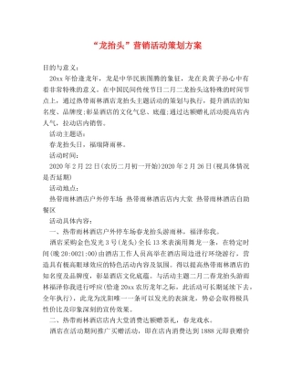 “龙抬头”营销活动策划方案 