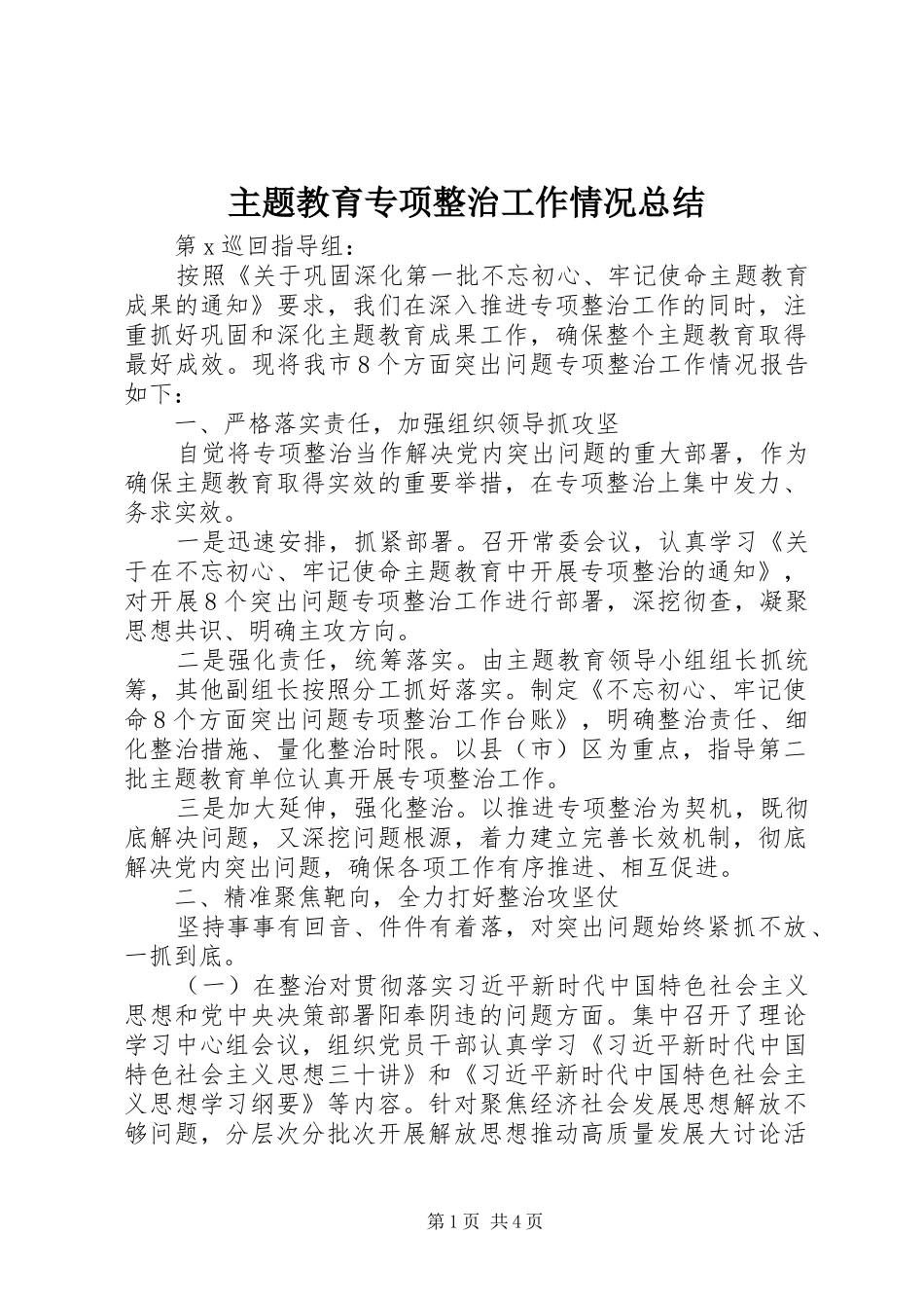 主题教育专项整治工作情况总结_第1页