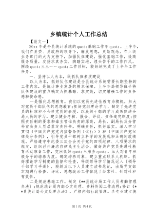 乡镇统计个人工作总结