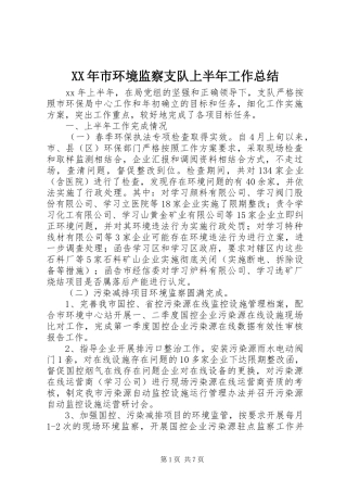 XX年市环境监察支队上半年工作总结