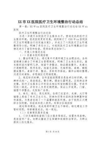 XX市XX医院医疗卫生环境整治行动总结