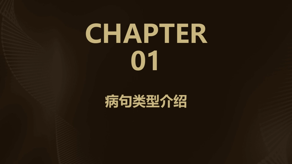 人教版初中病句类型与修改资料课件_第3页
