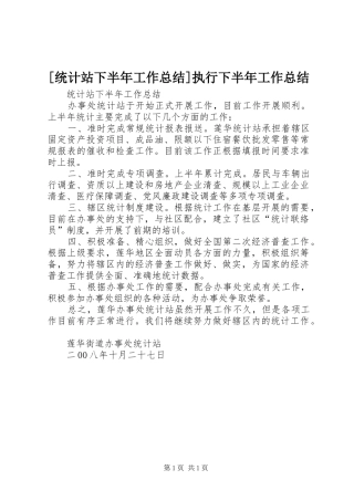 [统计站下半年工作总结]执行下半年工作总结