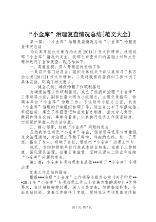 “小金库”治理复查情况总结[范文大全]