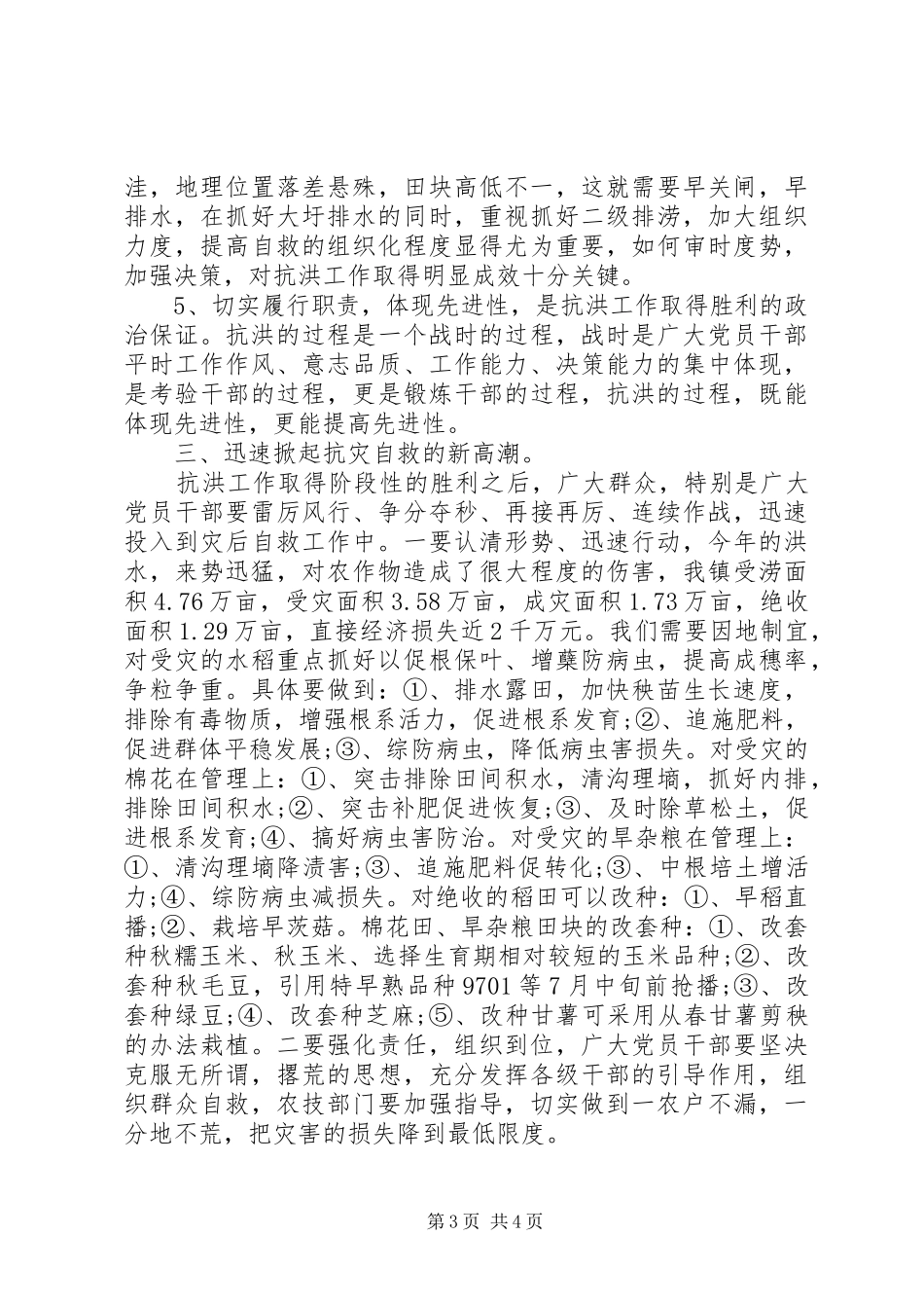 乡镇抗洪救灾总结 (3)_第3页