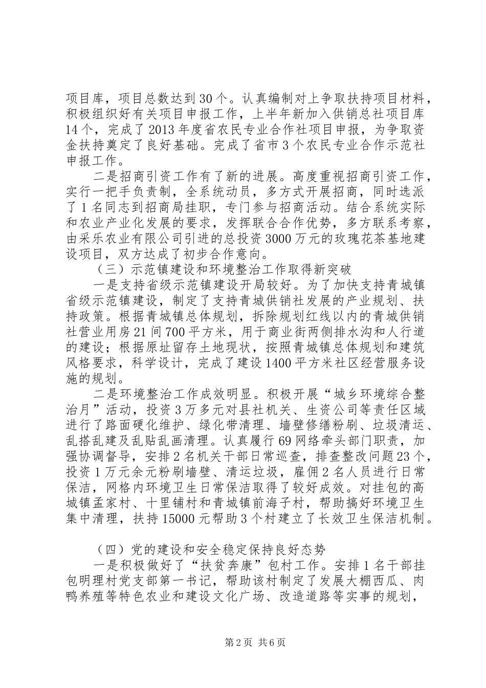 供销社上半年总结和下半年打算_第2页