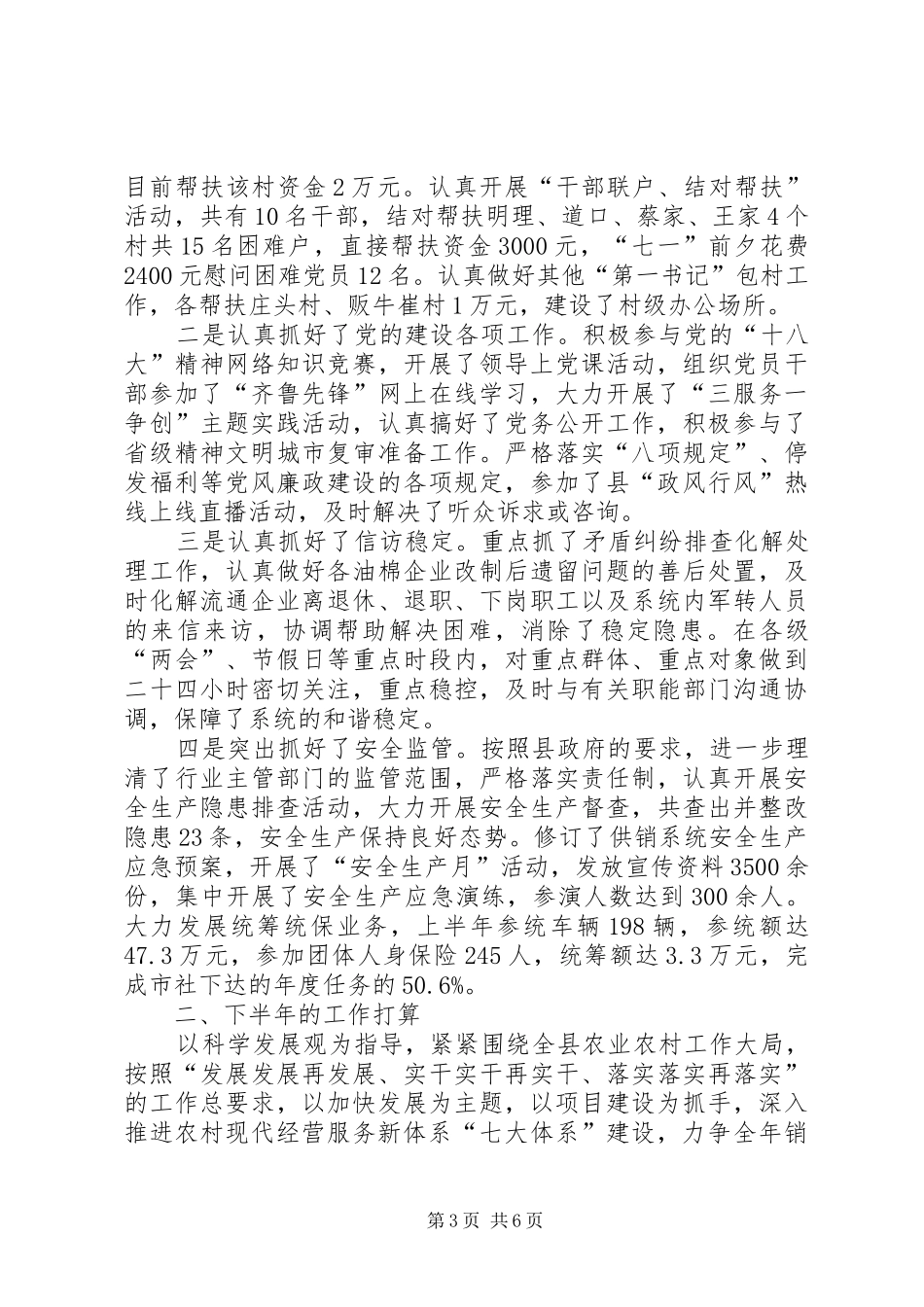 供销社上半年总结和下半年打算_第3页