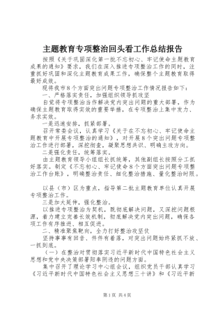 主题教育专项整治回头看工作总结报告