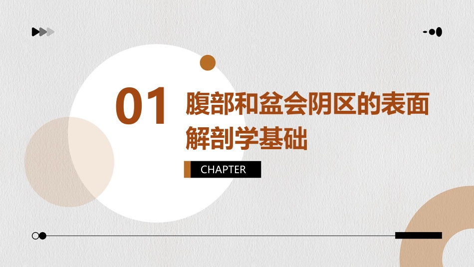 表面解剖学幻灯腹部和盆会阴区课件_第3页