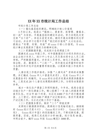 XX年XX市统计局工作总结 (3)