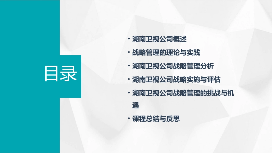湖南卫视公司战略管理最终整合课件_第2页