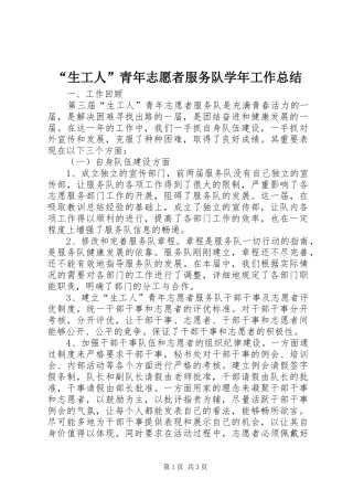 “生工人”青年志愿者服务队学年工作总结