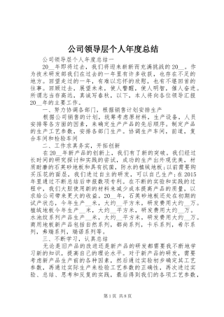 公司领导层个人年度总结