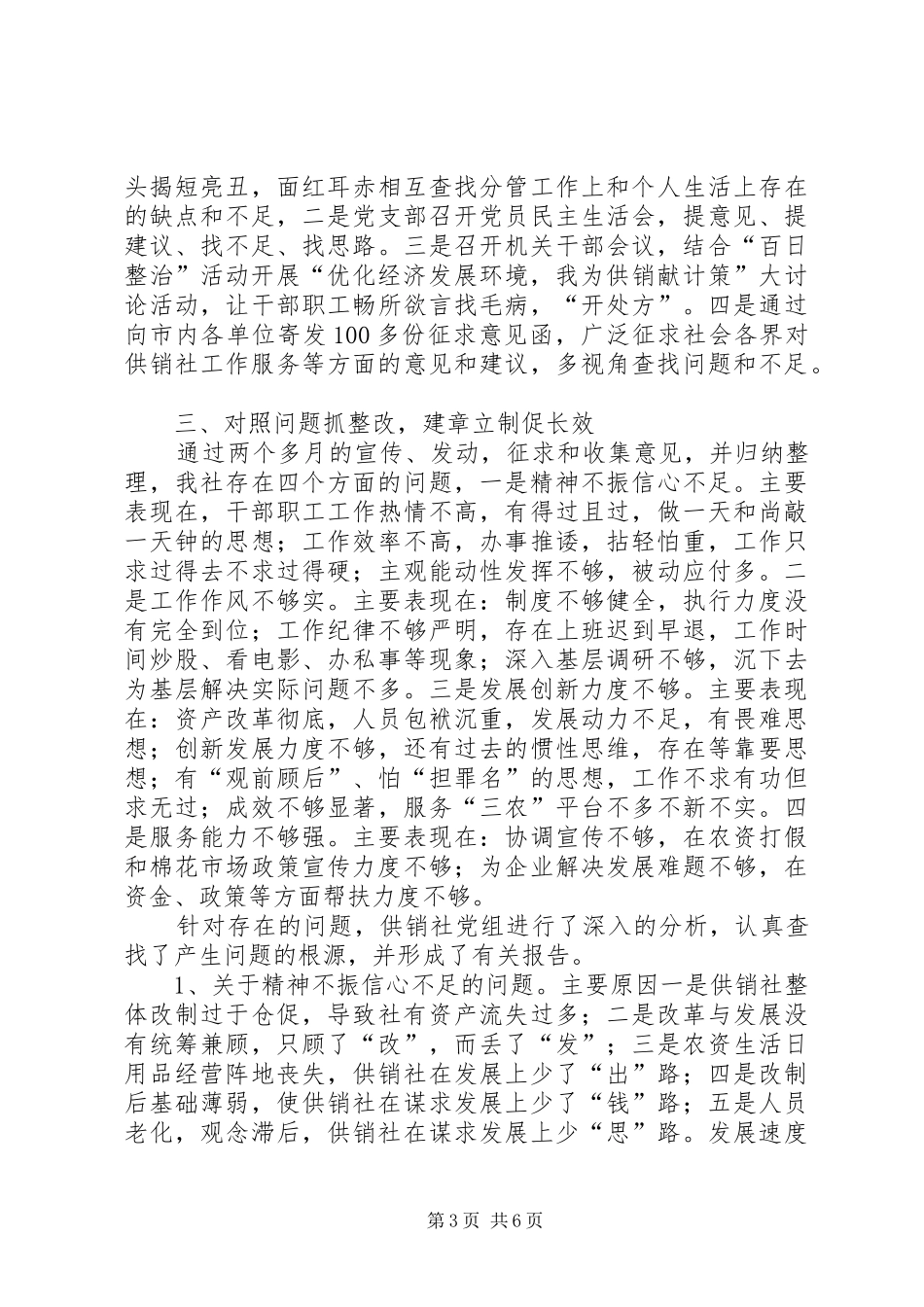 供销社“百日整治”工作总结_第3页