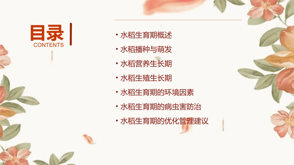水稻生生育期课件_第2页