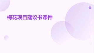 梅花项目建议书课件