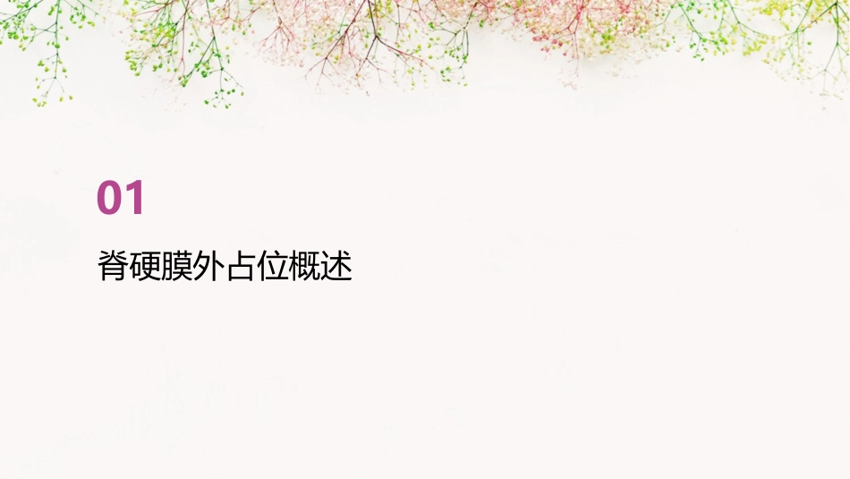 脊硬膜外占位课件_第3页
