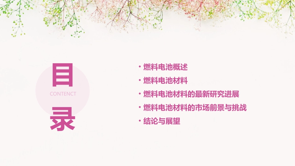 燃料电池材料课件_第2页