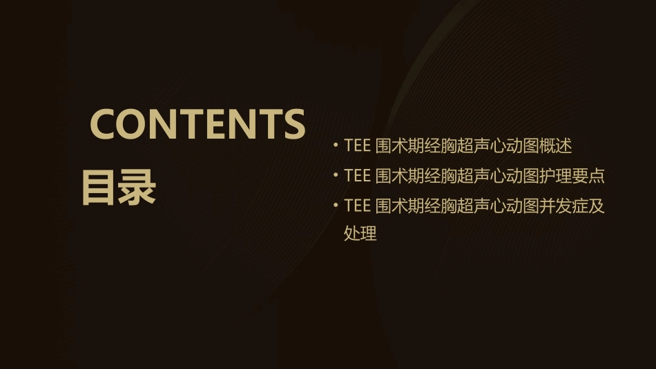 TEE围术期经胸超声心动图护理课件_第2页