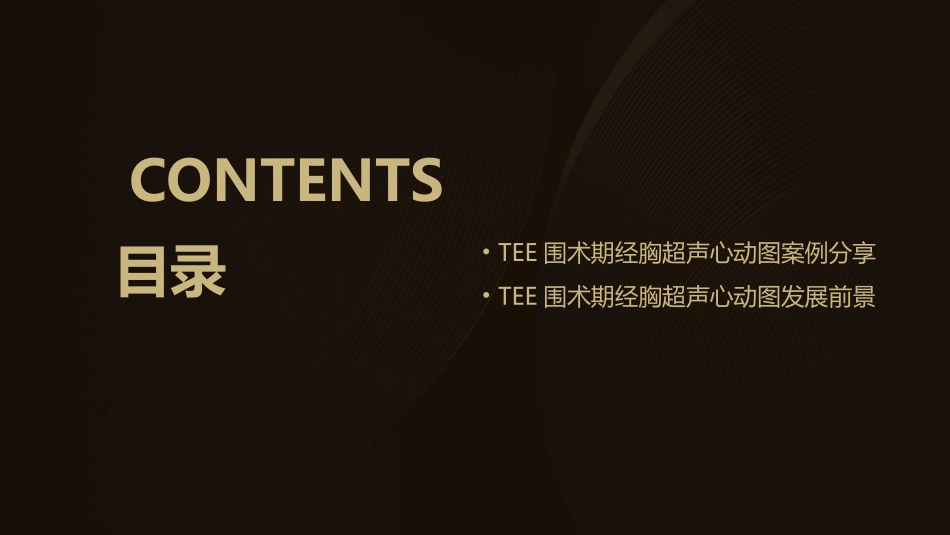 TEE围术期经胸超声心动图护理课件_第3页
