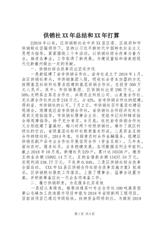 供销社XX年总结和XX年打算
