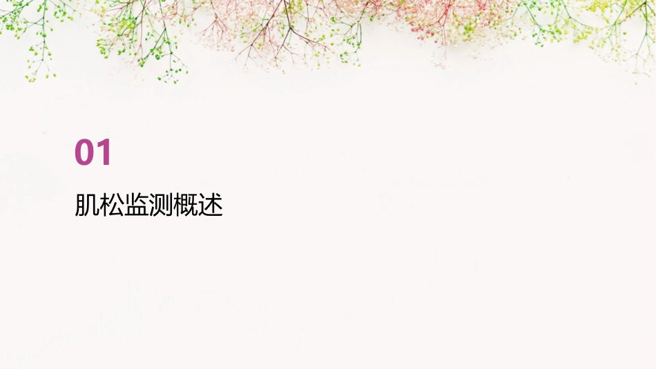 肌松监测肌松药规范(徐世元)课件_第3页